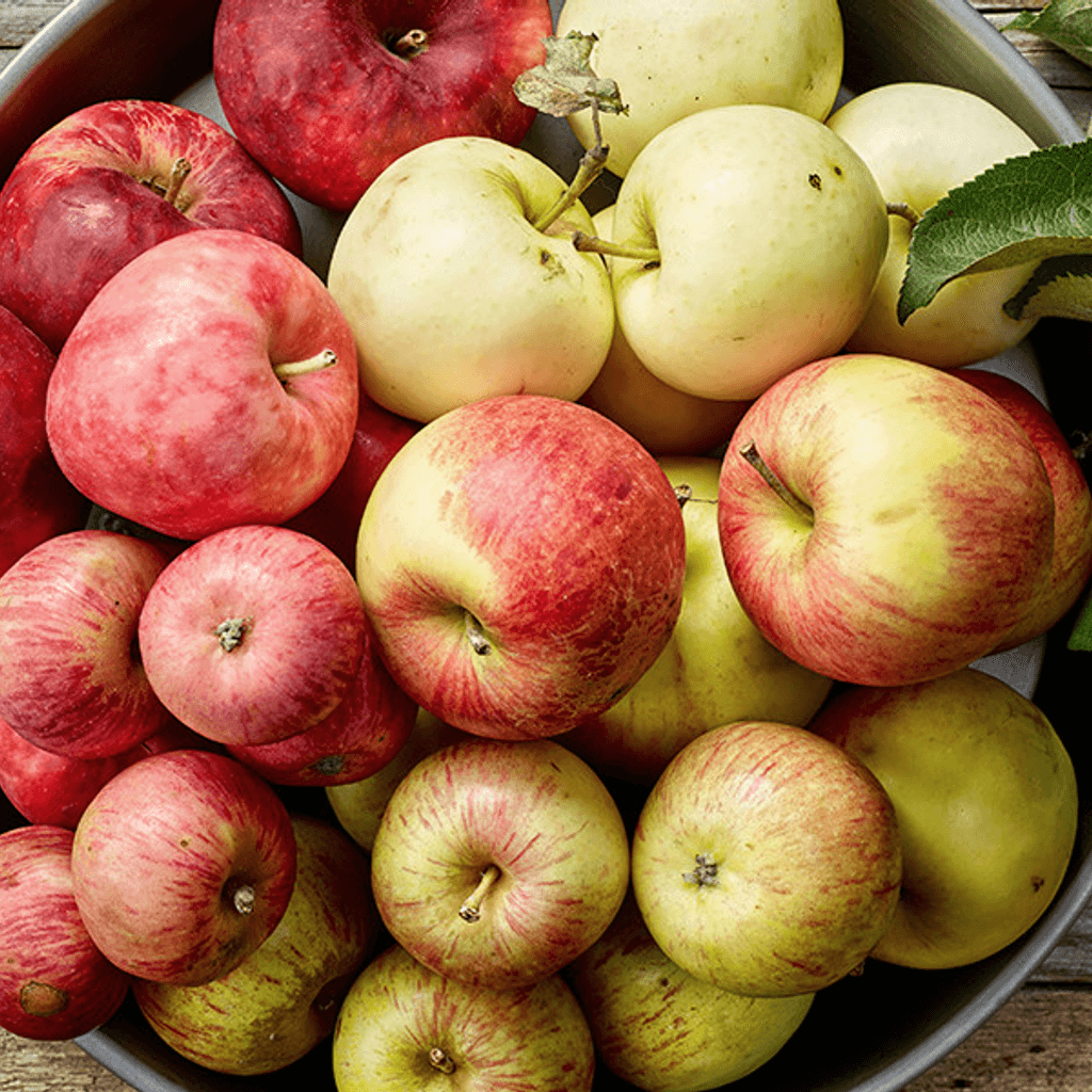Manzana